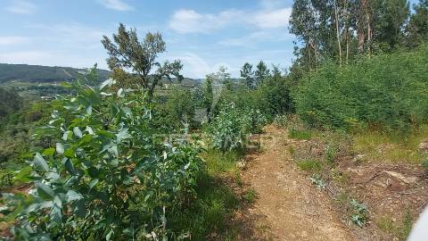 Excelente terreno com 3550,60m2 para contrução
