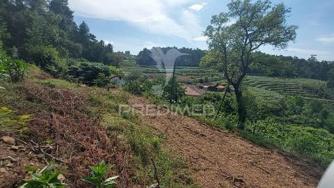 Excelente terreno com 3550,60m2 para contrução
