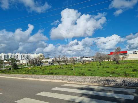 Loja/armazém – oportunidade para investidores, pateiro
