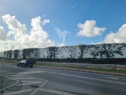 Loja/armazém – oportunidade para investidores, pateiro