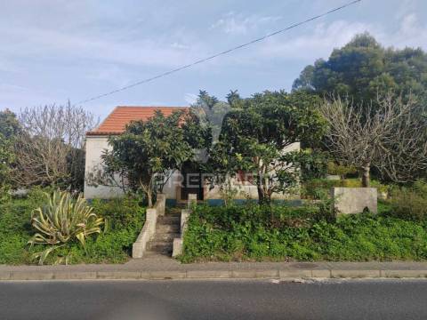 Quintinha / terreno com  23000m2  e moradia t3