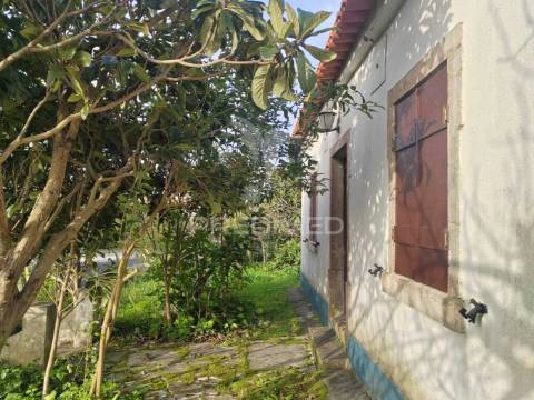 Quintinha / terreno com  23000m2  e moradia t3