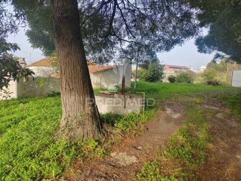 Quintinha / terreno com  23000m2  e moradia t3