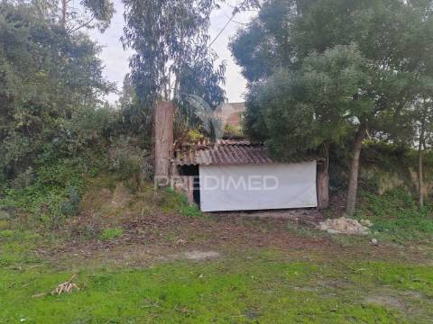 Quintinha / terreno com  23000m2  e moradia t3
