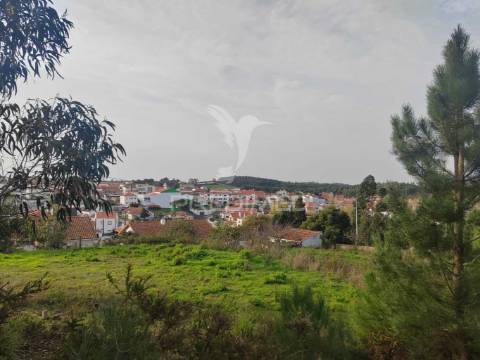Quintinha / terreno com  23000m2  e moradia t3