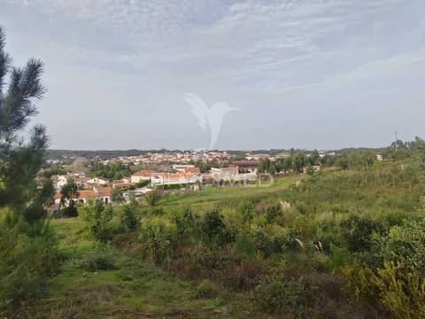 Quintinha / terreno com  23000m2  e moradia t3