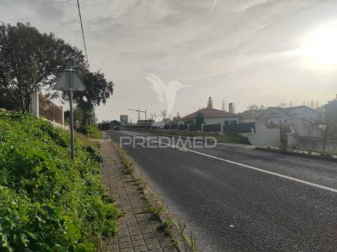 Quintinha / terreno com  23000m2  e moradia t3