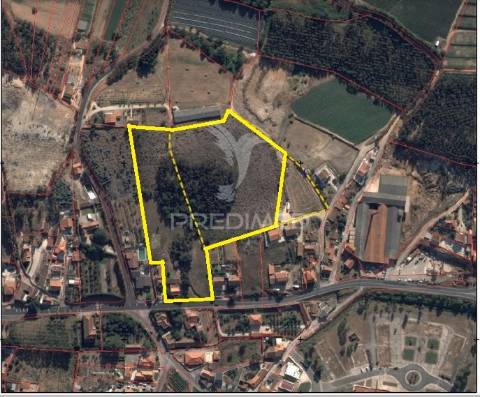 Quintinha / terreno com  23000m2  e moradia t3