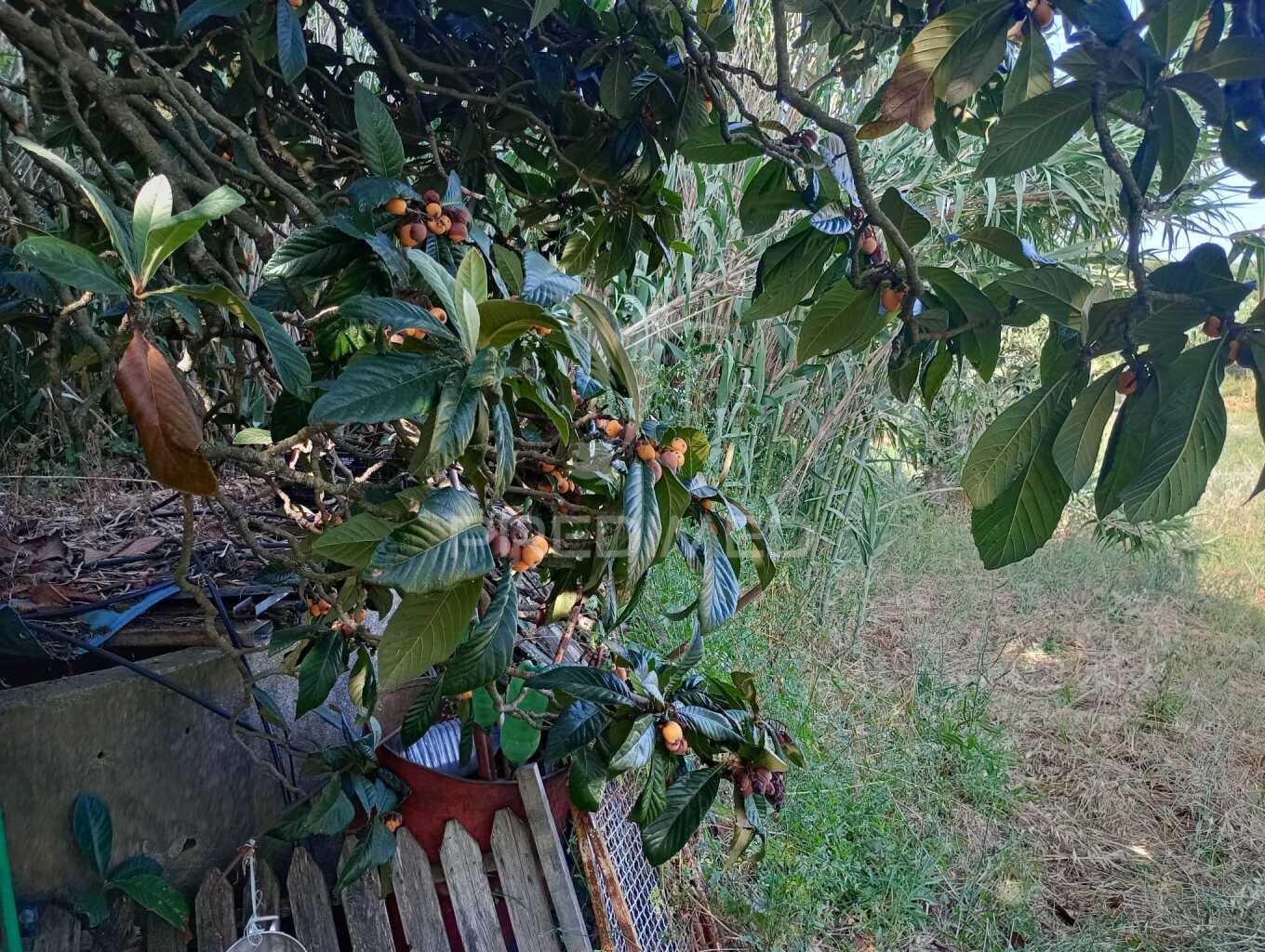 Magnífico terreno/ com apoio agrícola