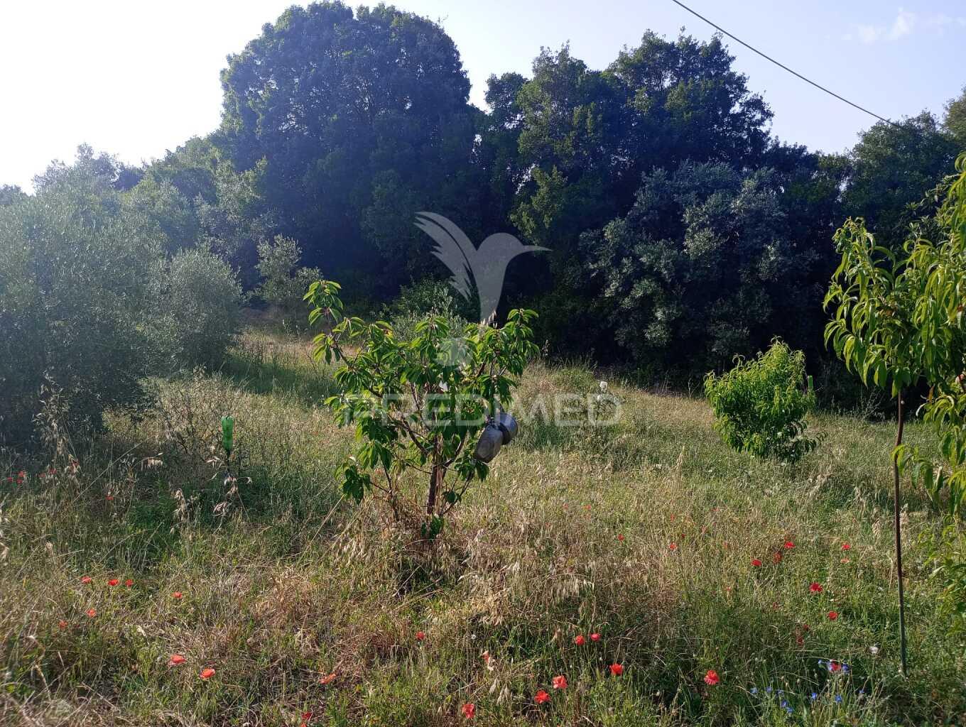 Magnífico terreno/ com apoio agrícola