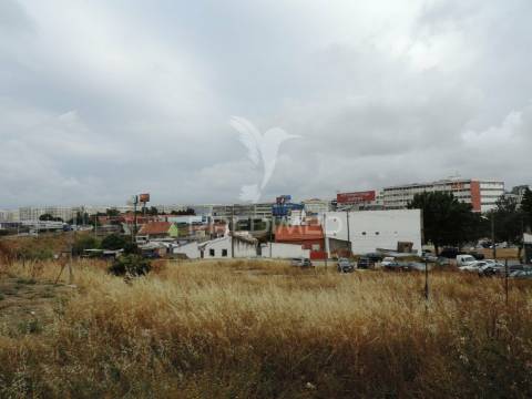 Terreno urbano com benfeitorias- baixa de preço