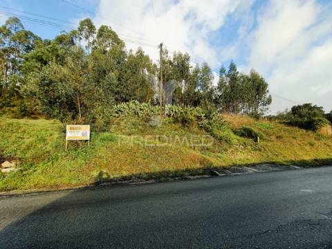 Lote de terreno