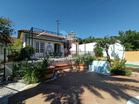Quinta torres novas