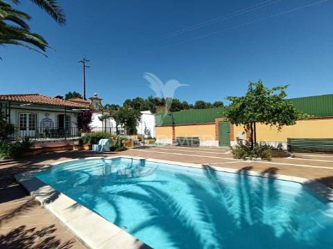Quinta torres novas