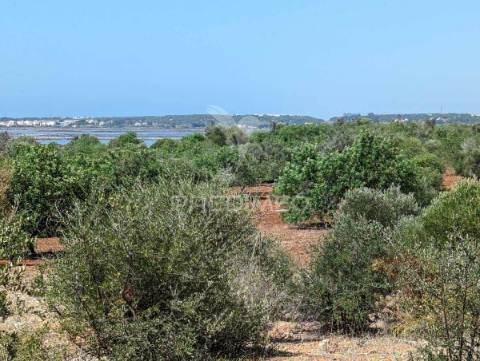 Quinta em castro marim, 36 ha, 1125m2 urbano, premium