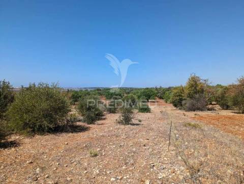 Quinta em castro marim, 36 ha, 1125m2 urbano, premium