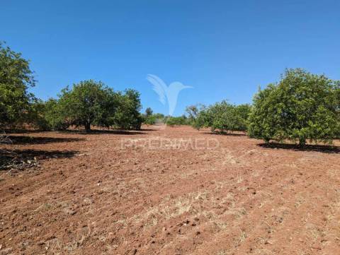 Quinta em castro marim, 36 ha, 1125m2 urbano, premium