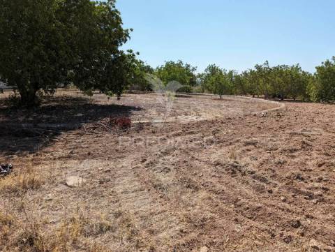 Quinta em castro marim, 36 ha, 1125m2 urbano, premium