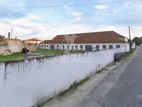 Armazém com terreno urbanizável