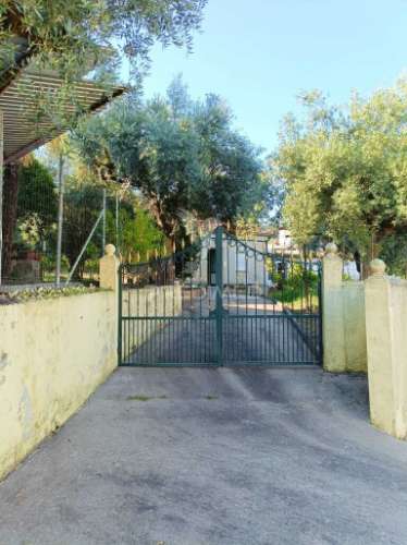 Moradia t3 em olival