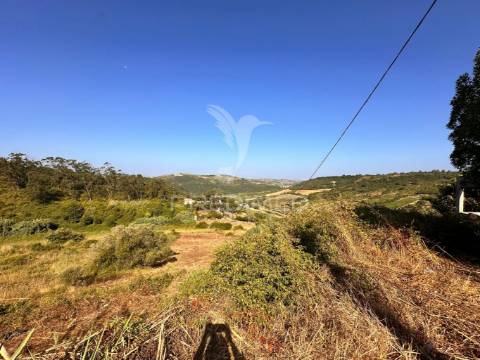 Terreno