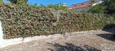 Vivenda de primeiro andar com quintal e garagem em alter do chão