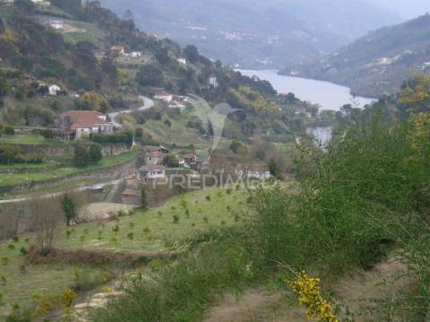 Terreno para construção com vistas para o rio douro