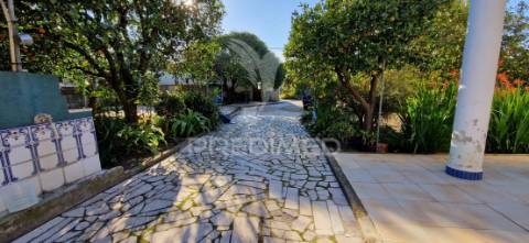 Quinta com moradia t3 em brejos de azeitão