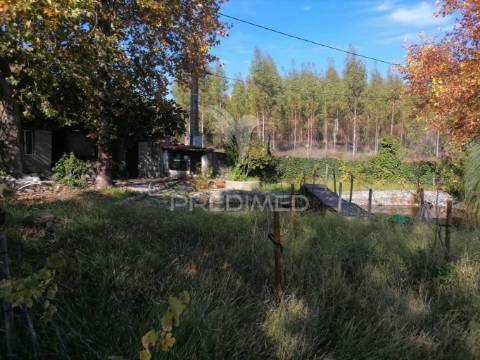 Terreno agrícola