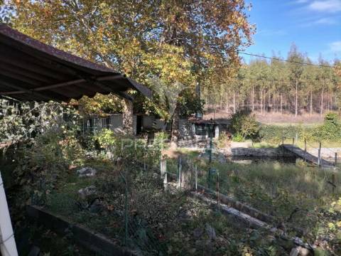 Terreno agrícola