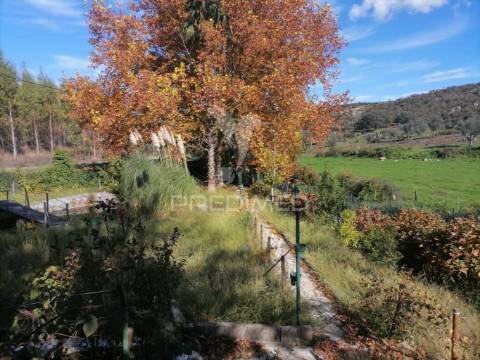 Terreno agrícola