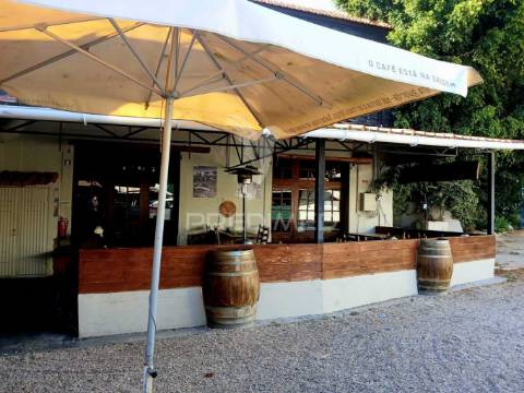 Magnífico restaurante
