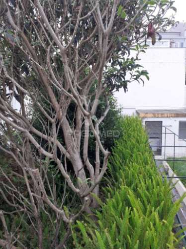 Moradia para reabilitação – excelente localização em angra do heroísmo