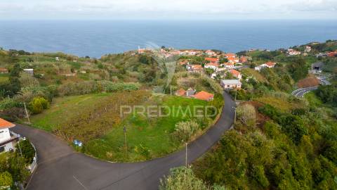Terreno em são jorge – uma oportunidade no norte da madeira