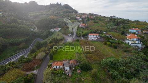 Terreno em são jorge – uma oportunidade no norte da madeira