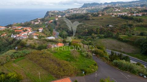 Terreno em são jorge – uma oportunidade no norte da madeira