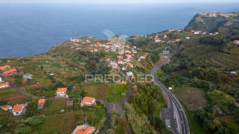 Terreno em são jorge – uma oportunidade no norte da madeira