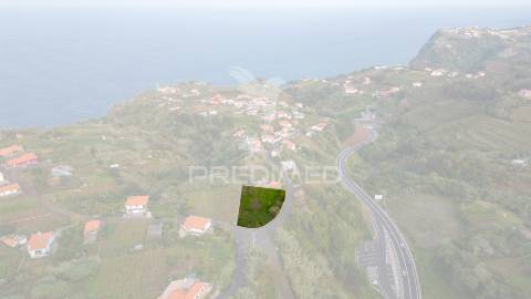 Terreno em são jorge – uma oportunidade no norte da madeira