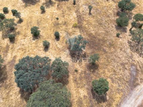 Terreno rústico de 9,975 hectares à venda, capelins