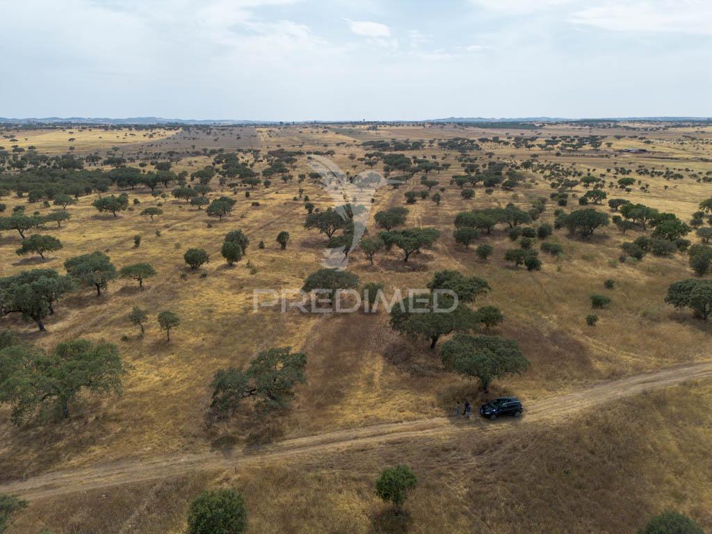 Terreno rústico de 9,975 hectares à venda, capelins