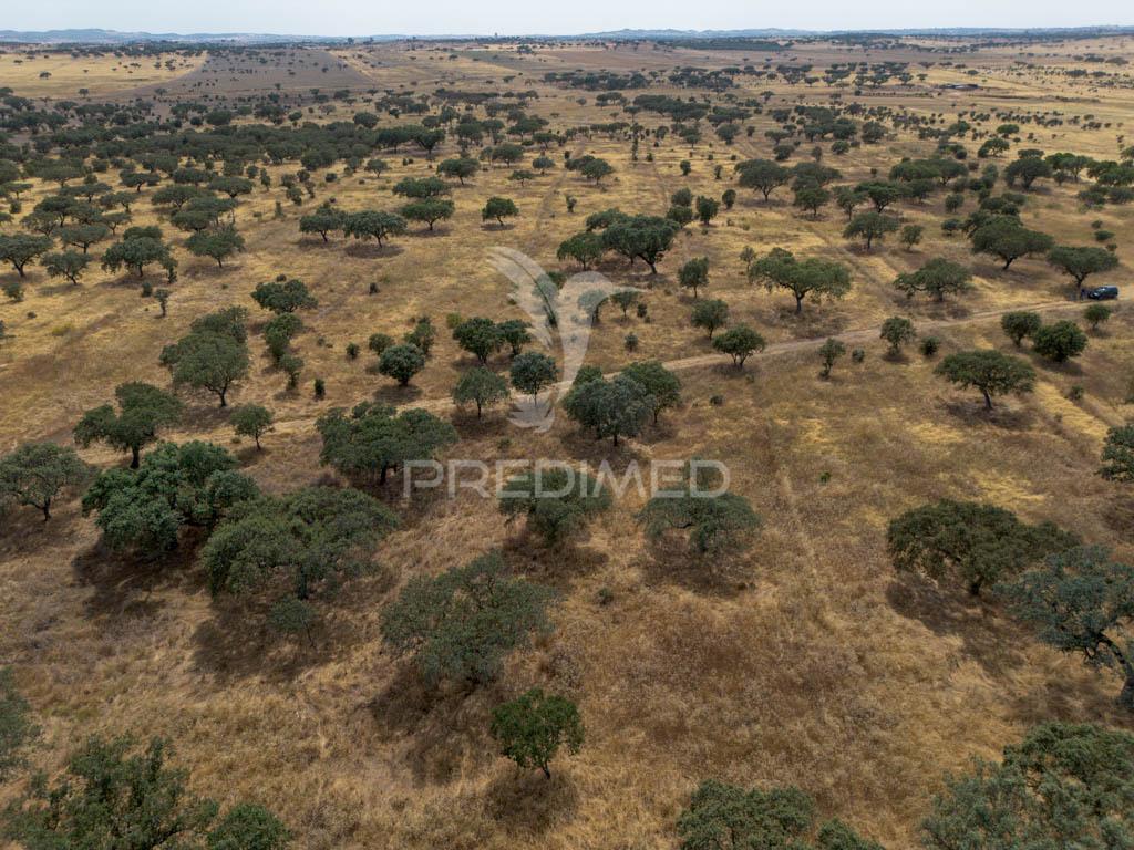 Terreno rústico de 9,975 hectares à venda, capelins