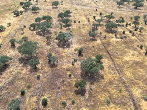 Terreno rústico de 9,975 hectares à venda, capelins