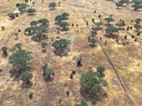 Terreno rústico de 9,975 hectares à venda, capelins