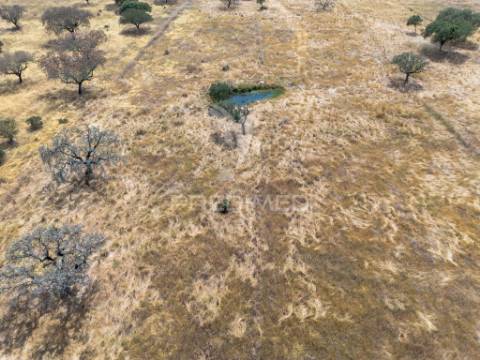 Terreno rústico de 9,975 hectares à venda, capelins