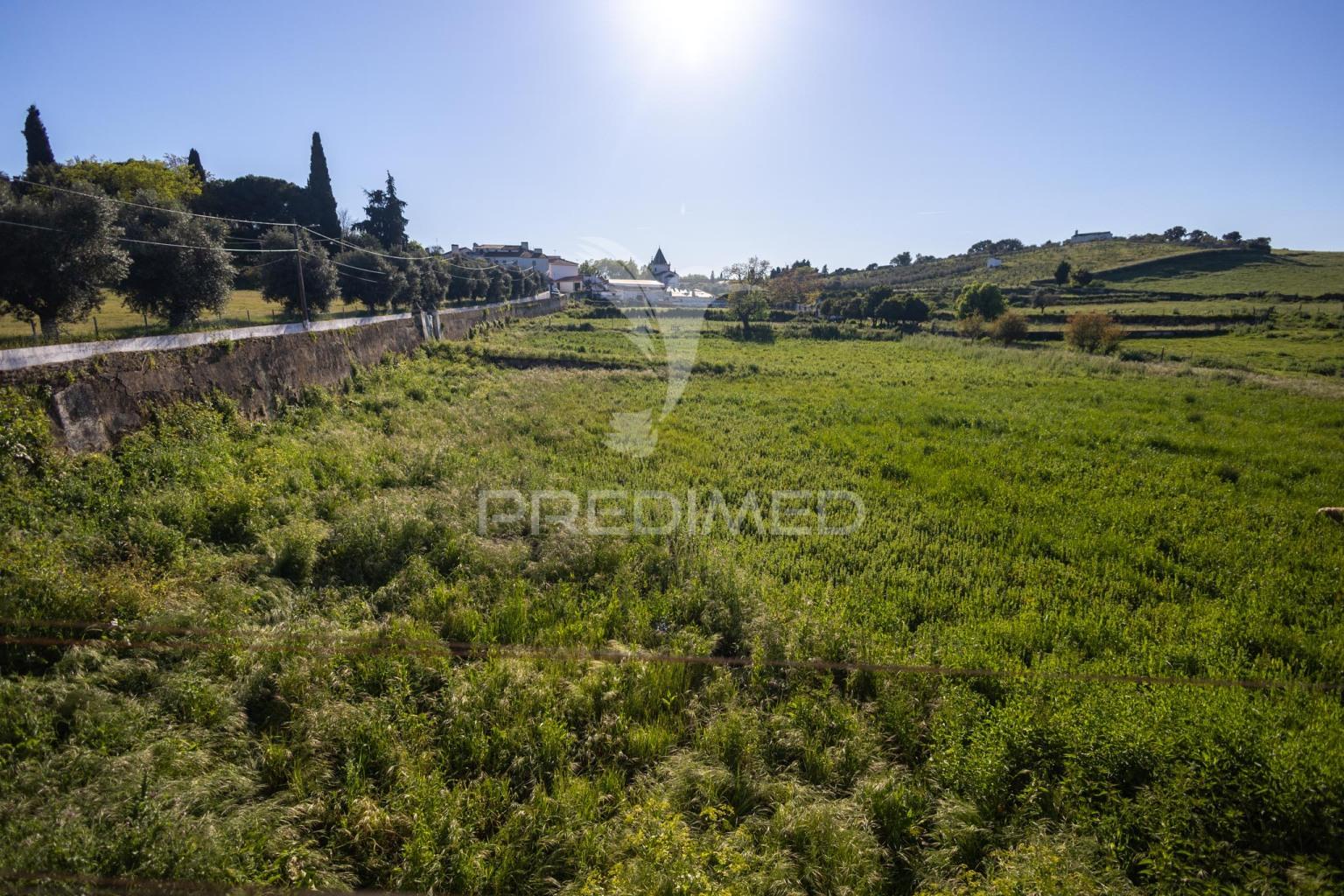 Prédio t5 com quintal, para remodelação em vila viçosa