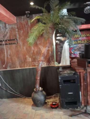 Bar/restaurante