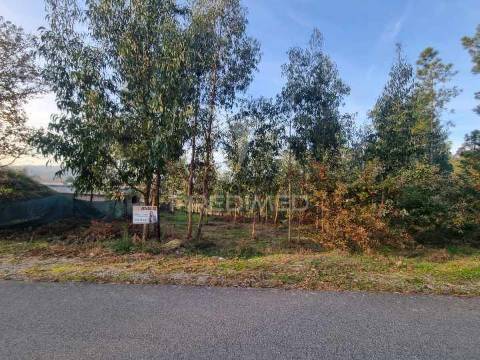 Terreno situado em s. jorge de vizela