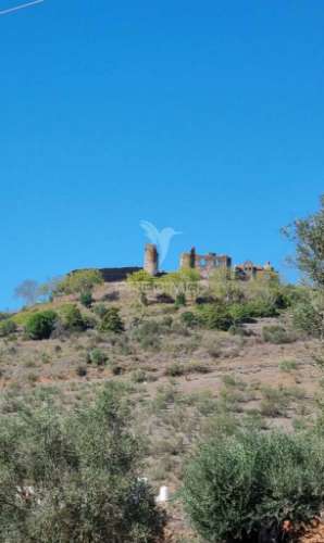 Monte alentejano, 21.750 m2, com casa tipica t4