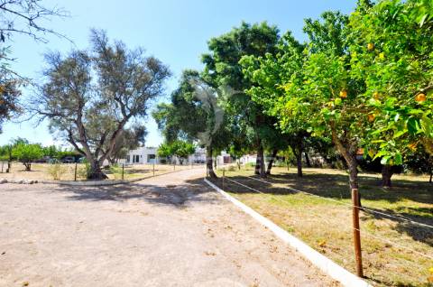 O seu refúgio sustentável às portas de lisboa – herdade de 3,5ha - 5 casas
