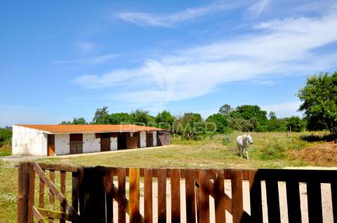 O seu refúgio sustentável às portas de lisboa – herdade de 3,5ha - 5 casas